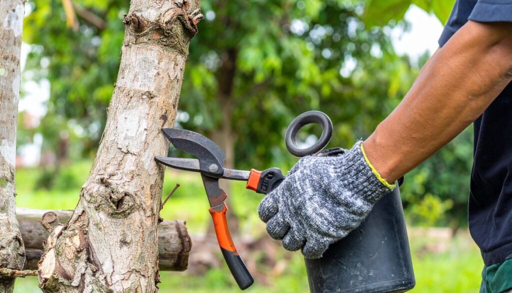 Firefly-Tree-Maintenance-773559-scaled.jpg