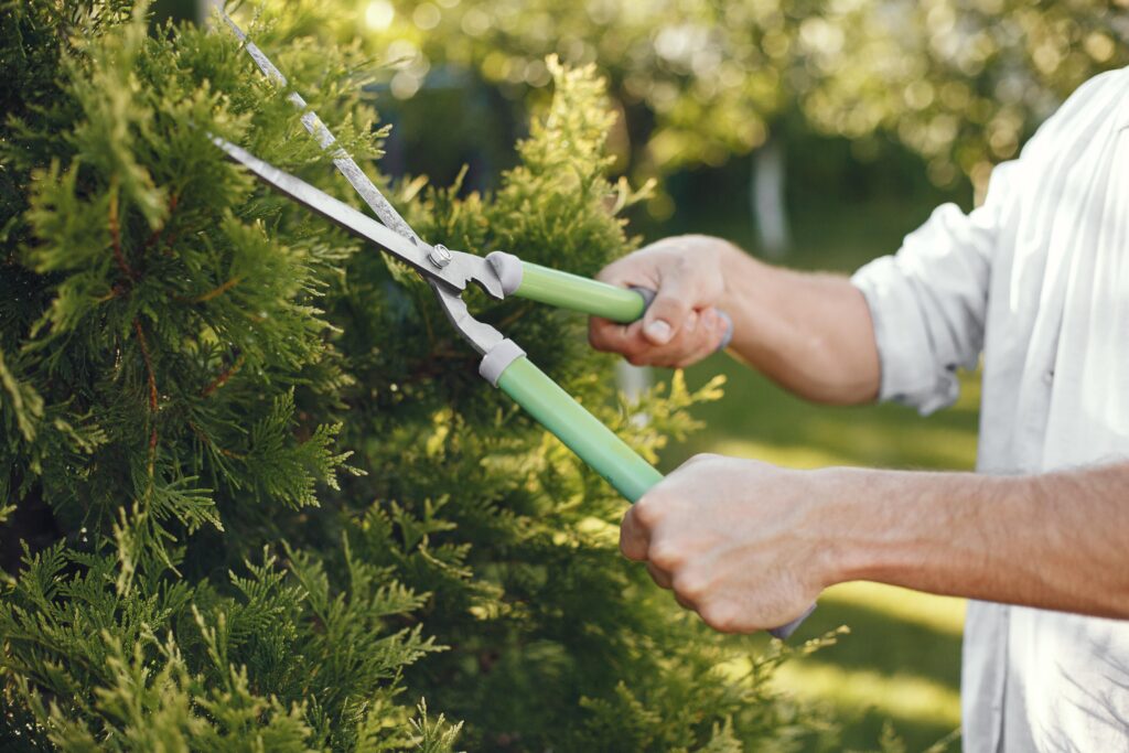 man-trimming-bough-brush-guy-works-backyard-min